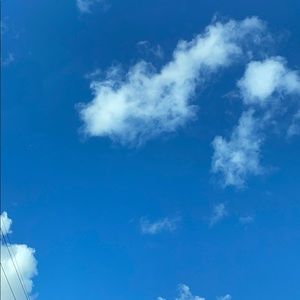 Meet your Posher, Ashleigh